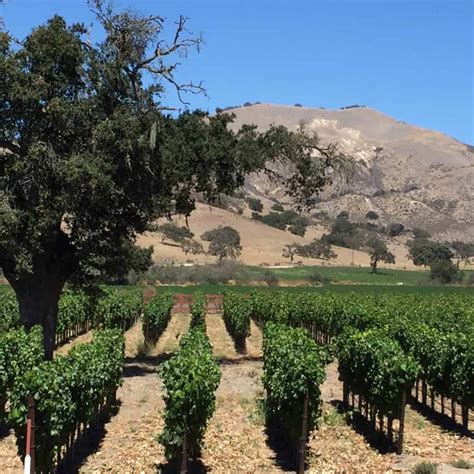 discount wines in the mesa az area